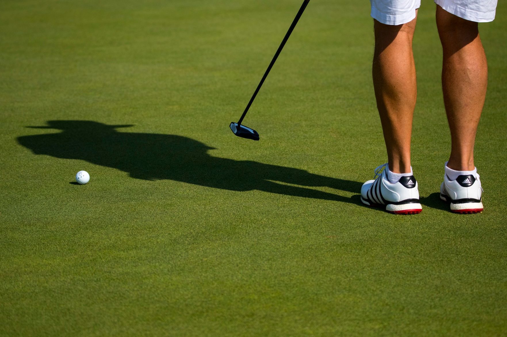 Montana State Senior Golf Tournament
